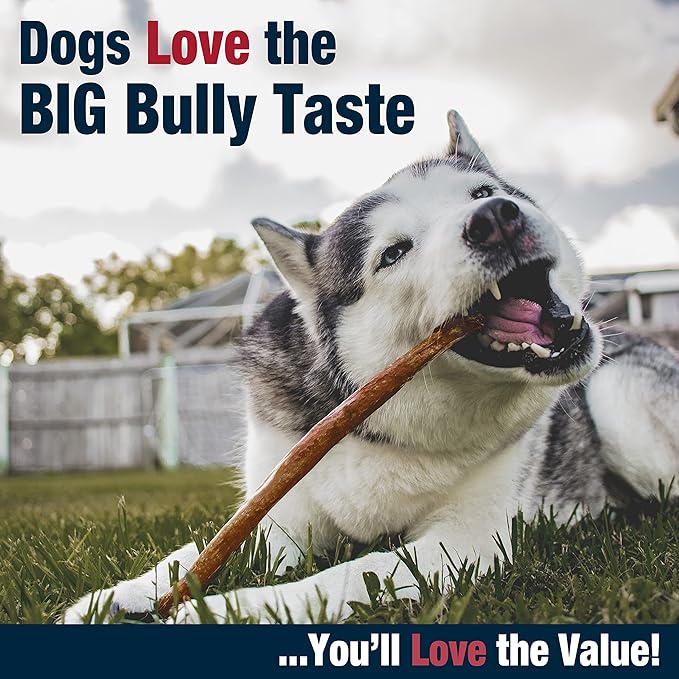 Cadet Bully Hide Sticks for Large Dogs, All-Natural Beef Pizzle, Limited-Ingredient Long-Lasting Dog Chews for Aggressive Chewers, 7 Count