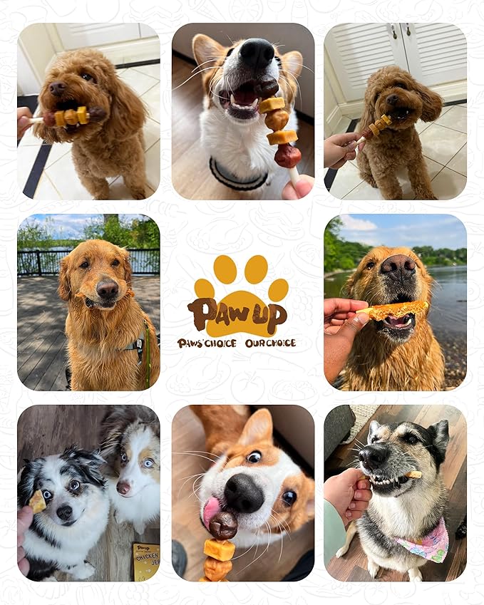 PAWUP Dog Treats, Kabobs Chews Made with Sweet Potato, Turkey, Chicken & Duck, Rawhide Sticks for Dogs, Long-Lasting, High Protein Dog Treat for Small Medium Large Dogs, 12 Count