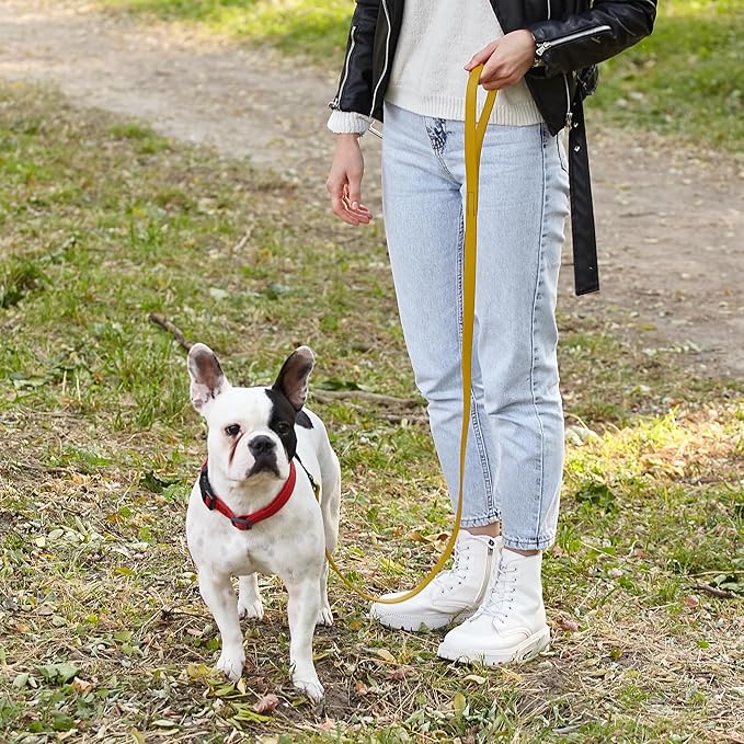 Dogline Biothane Waterproof Dog Leash Strong Coated Nylon Webbing with Black Hardware Odor-Proof Easy to Clean High Performance for Small or Large Dogs Made in USA 4 or 6 ft Lead, Treasure Gold