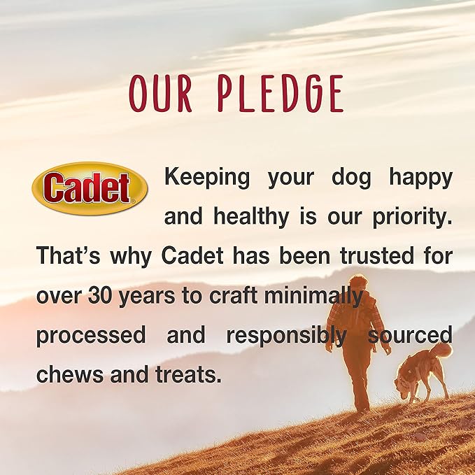Cadet Bully Sticks for Small Dogs, All-Natural Beef Pizzle, Rawhide-Free Long-Lasting Dog Chews for Aggressive Chewers, 4 Count