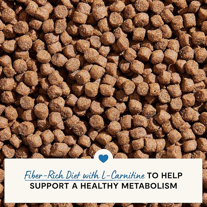 Open Farm, Healthy Weight Dog Food, Veterinarian Formulated High-Protein & Low-Calorie Dry Dog Food for Weight Management, Supports Metabolism & Mobility, Chicken & Whitefish Recipe, 4lb Bag