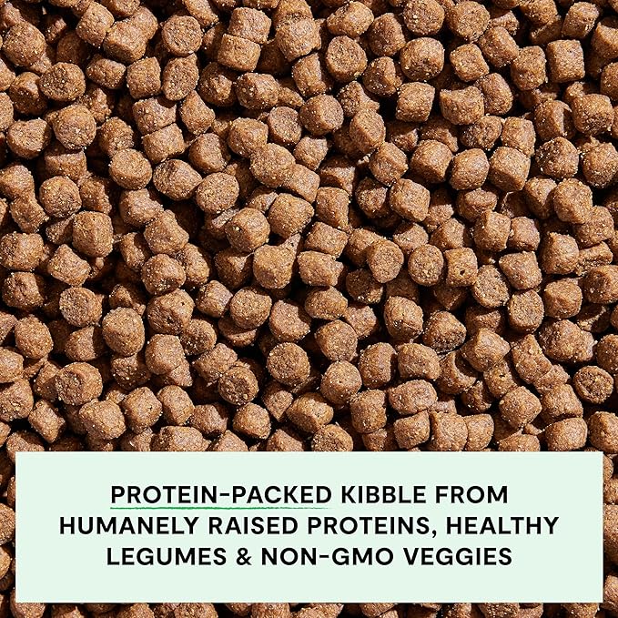 Open Farm, Grain-Free Dry Dog Food for Puppies, Protein-Packed Kibble, Sustainably & Ethically Sourced Ingredients, Non-GMO Veggies & Superfoods, Chicken & Salmon Puppy Recipe, 4lb Bag